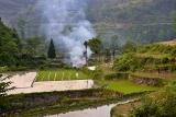 Burning on dry rice paddy. Sunset.