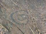El Julan - Petroglyphs
