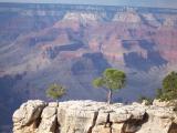 cs grand canyon 087.jpg