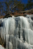 DSC_1687.jpg