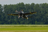 F4F Wildcat-1