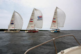 Parade of Sail ~ Clippers On Sydney Harbor
