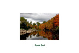 Renwick Brook
