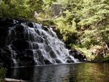 Shaded Falls