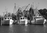 Shrimp Boats - Harkers Island