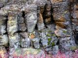 Rock formation along creek