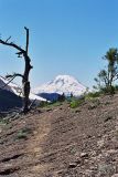 Mt Rainier