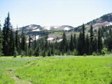 Bear Creek Mtn Trail