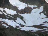 Snow Fields