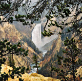 Yellowstone NP, scanned from a film print