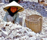 The Vietnam Experience 1966 - 1967
