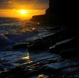 Sunset and Sea Gulls