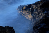 Crocodile Rock, High Tide, Ogmore