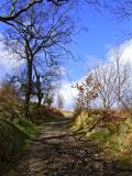 The Margam Way at Aberdare