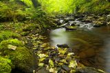 Autumn begins at Cwm Clydach