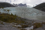 Pia Glacier