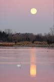 Setauket Harbor