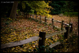 Curved Fence