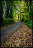 Further on up the road