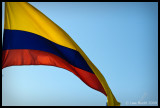 Flag, Cartagena