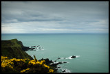 Sea View, From Vicarage Cliff