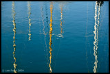 Rippled Verticals