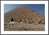 Khufu Pyramid and guardian
