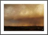 Storm and Starlings