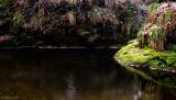 Still Water