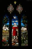 Stained Glass, St Petrocks Church