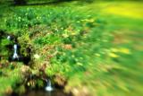 Glade