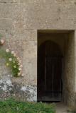 Door and Wallflower