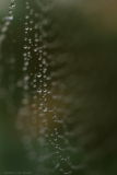 String Theory
