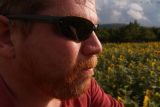Facing the sunflowers