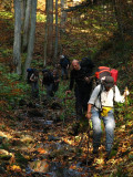 Bieszczady (jesień)
