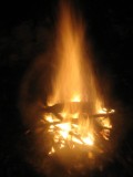 P³onie ognisko w lesie(IMG_7081.jpg)