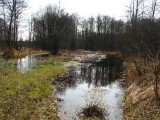 Polesie Wołyńskie