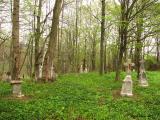Cmentarz w Paportnie<small>(IMG_2724.JPG)</small>