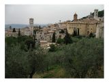 <b>Assisi</b>