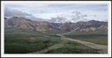 Pananoma at Polychrome Overlook at Denali