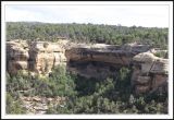 Cliff Palace and its overlook