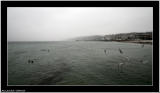 20060220 - Ocean -