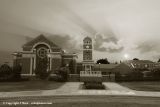 CRw_DSC1714 NEW MERGED NATURAL BW GOLD.jpg