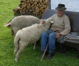 Getas father and his sheep.JPG