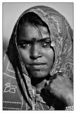Girl From Rajasthan