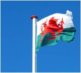 Flying the Welsh Flag.