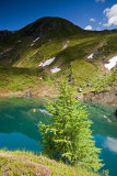 Kitzsteinhorn Mountain: Fir and Mountain Lake