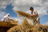 Cornhusking