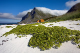 Flakstad Island: Vikten: Beach with Mountains and Clouds