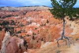 Bryce Canyon